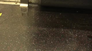 Water leaking from inside subway train