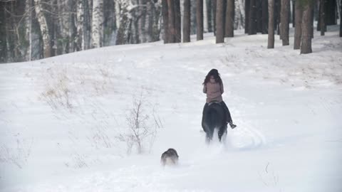 Female rider fast riding black horse through the snow, dog running nearby