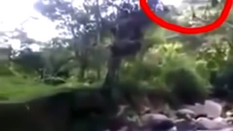 11 Mysterious creatures CAUGHT ON TAPE