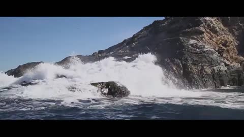Big Waves Hitting Shore and Sea Lions In Iceland
