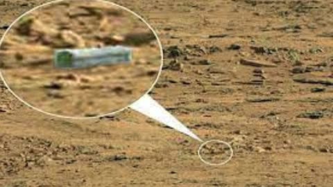 100 cursed photos of alien life on mars