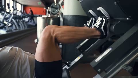 FULL LEG DAY TRAINING - WORKOUT PLAN - THE WELLNESS CLINIC