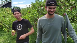 Discovering Over 3 Apple Varieties at Waddel Apples: Which One Is Your Favorite? 🍎🍏