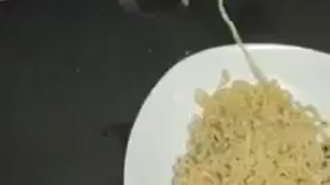 Funny Mouse Caught By His Teeth With Noodles