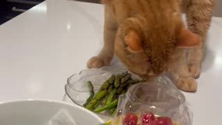 Cat Tries to Bury My Asparagus