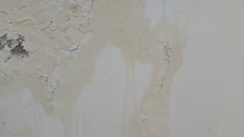 Damp On Wall.