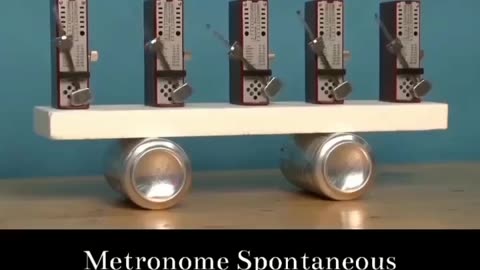 Metronome spontaneous synchronization