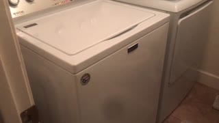 Our Maytag washing machine is making a strange noise.