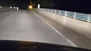 Deer running down the road