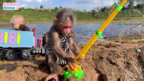 BiBi helps dad go fishing with baby monkey Obi"