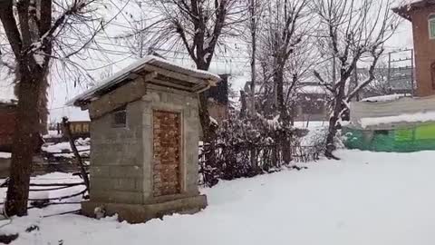 Latest Snow in kashmir So beautiful