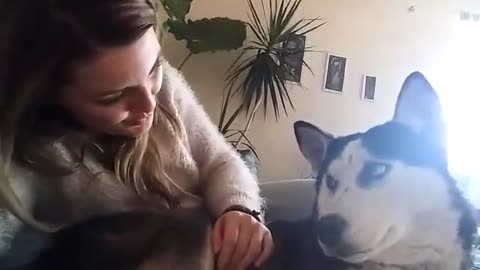 Talentosa cantante da una serenata a su husky