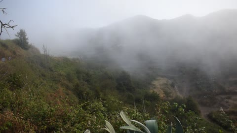 On the mountain in Tenerife with passing clouds