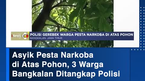 Asyik Pesta Narkobadi Atas Pohon, 3 Warga Bangkalan Ditangkap Polisi