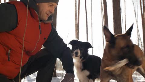 Medium shot of middle aged man and two playful dogs having fun