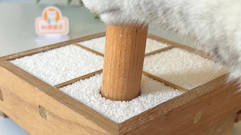 A Compilation of Cute Cats in Action!"