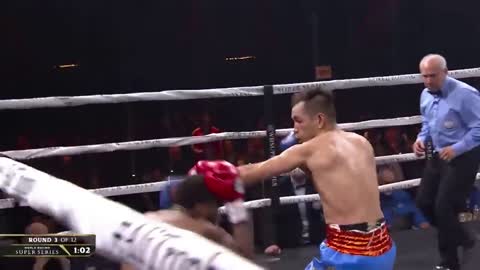 Nonito Donaire vs Stephon Young Full Highlight - KNOCKOUT - HD