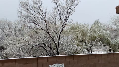 Snow in Tucson 13-Mar-2021