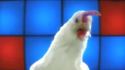 Chicken Song part 2 (original) | The hens’ dancing song | 2021 so funy
