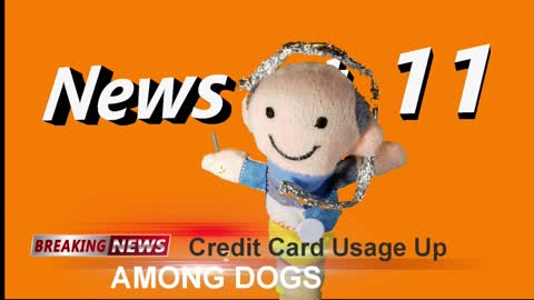 Credit Card Usage Among Dogs Up. News at 11.