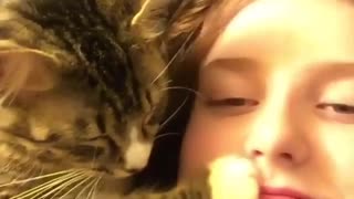 Cute Cat Likes To Sleep On Her Owner's Face