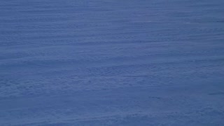 Walking on frozen lake Simcoe