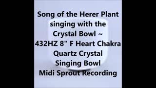 Song of the Herer Plant sing with a Quartz Crystal Singing Bowl 432HZ