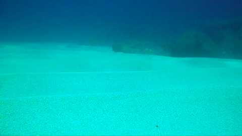 North Shore Sandy Bottoms!