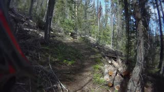 Entiat River Trail Wild Fire Recovery Part 2