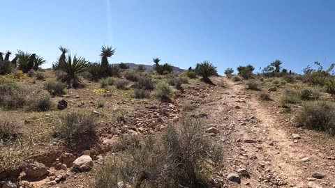 Boldfoot Trail Run and Sandbag Hike