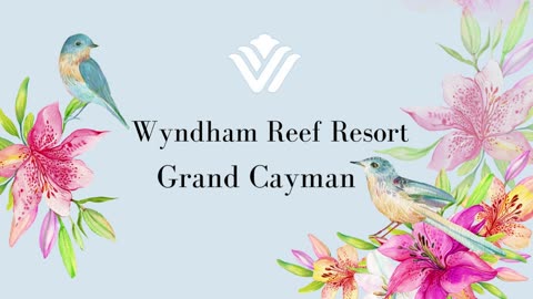 Cayman Islands Vacation Packages I Wyndham Reef Grand Cayman