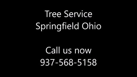 Tree Service Springfield OH
