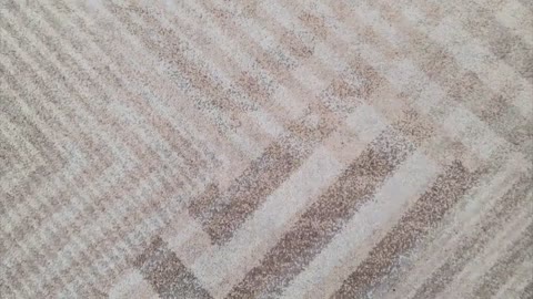 Pranie dywanu z ciekawym wzorem Speeded UP | satisfying video | cleaning videos