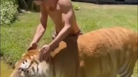 Super Best Funny Animal Videos of the year | funniest animals ever,relax with cute animals.