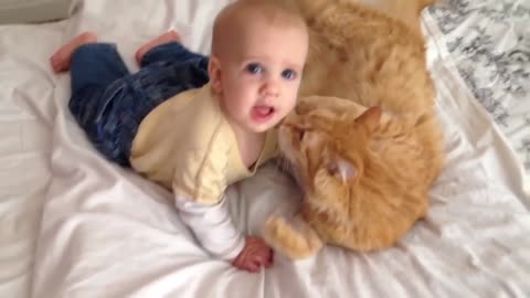 Cats Meeting Babies for the FIRST Time! Really FUNNY!