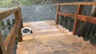 The Severe Thunderstorm Warning In Montreal Resulted In A Little Hail Storm (VIDEO)