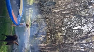 Trampoline water fun