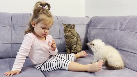 What_Does_a_Baby_do_When_Cats_Take_Food_From_Her