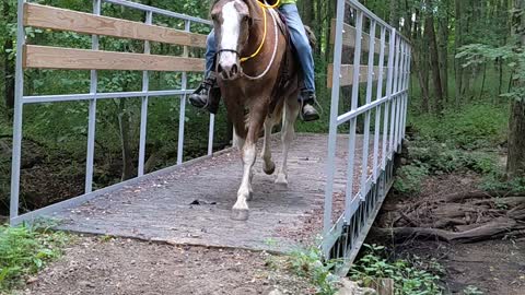 Hank crossing the bridge both ways at Waterloo - 13 August 2022