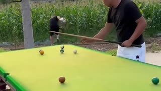 yt5s.io-Funny Video Billiards million views _ p337 🎱