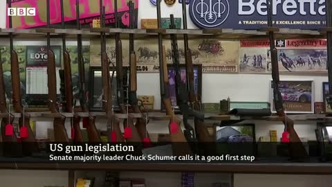Plan to strengthen gun control measure agreed by US senators - BBC News