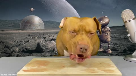 ASMR Feast: Pitbull Enjoying Raw Delicacies 🍖🐶 Venison, Sheep Kidney, Pig Tail, Quail! 🎧