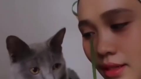 Cat and garl kis ..... Video
