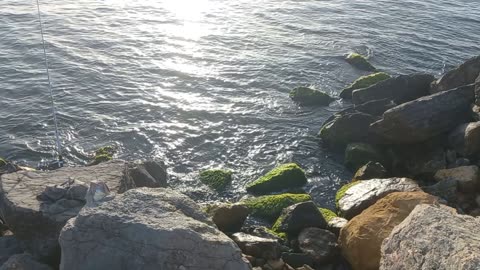 The sea, the sunshine and the beautiful rocky beach