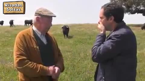 Angry bull surprises during interview