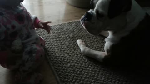 Baby and dog both completely fascinated with dog bone