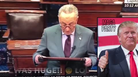 Chuck Schumer Accuses Trump of Inciting A Deadly Erection!! LOL 😆