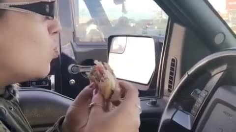 Hungry pup in adjacent car wants to join in on breakfast
