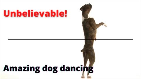 Amazing dog dancing (unbelievable)