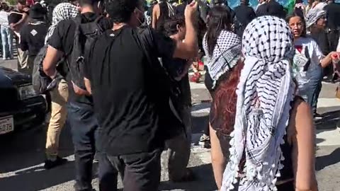 Pro-Palestine protesters curse out police in Los Angeles (on Wilshire Blvd.)